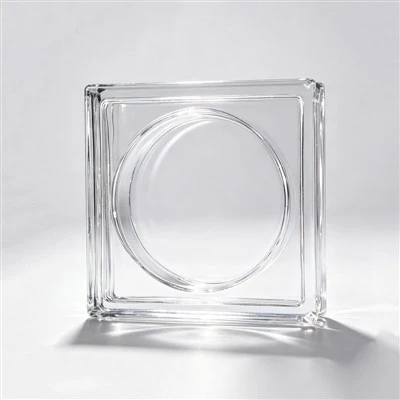 Hollow Clear Circular Recessed Face Glass Block